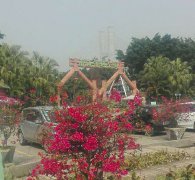 草莓视频成人公司員工南海（hǎi）濕（shī）地拓展訓練(2017.2.18-19)