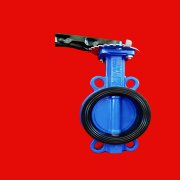 對夾式（shì）蝶閥加工定製