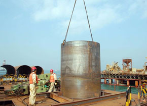 汴(biàn)津 草莓视频成人